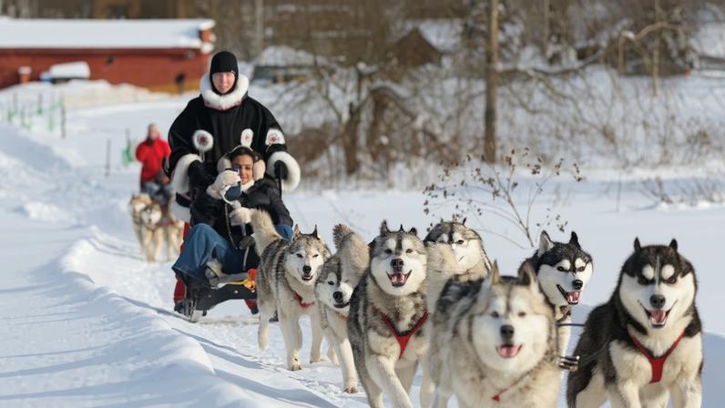 A tourist from Oman visits Husky Land Park in the Moscow region