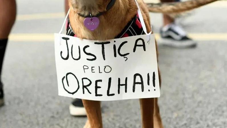 A Av. Paulista foi cenário de manifestações pedindo justiça pelo cão Orelha. (Foto: Bruna Menditto/Wikimedia)