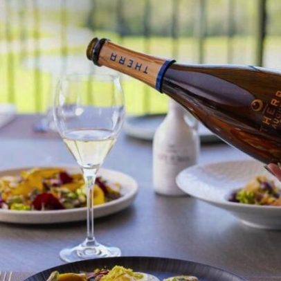 Vinhos da Thera mudam percepção sobre a Serra Catarinense