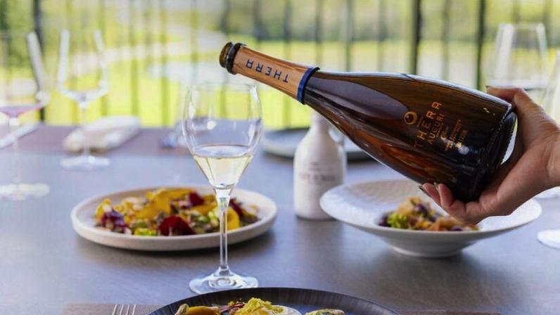 Vinhos da Thera mudam percepção sobre a Serra Catarinense