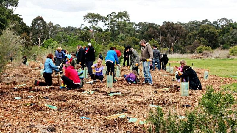 Tree planting in Australia. Image by John Englart via Wikimedia Commons (CC BY-SA 2.0).