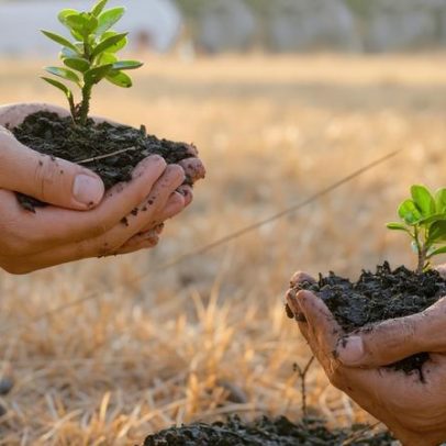 Cristãos lideram a luta pela sustentabilidade