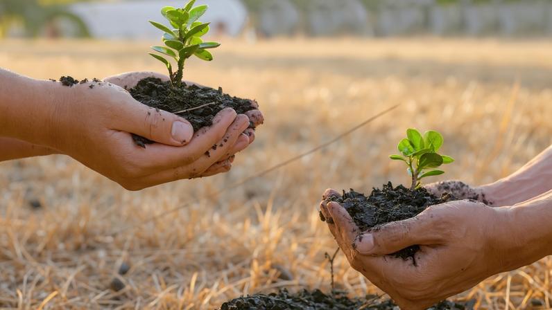 sustentabilidade
