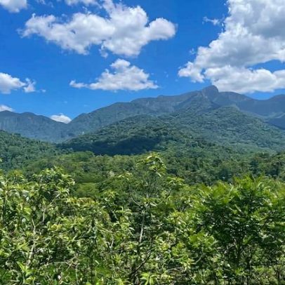 Terras indígenas da Mata Atlântica mostram avanços na restauração
