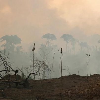 Amazônia Legal concentra quase metade dos conflitos por terra