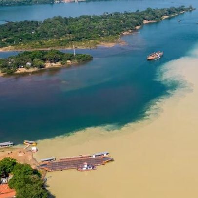 Demanda do agro por hidrovias no Norte atrai motores e distribuidoras