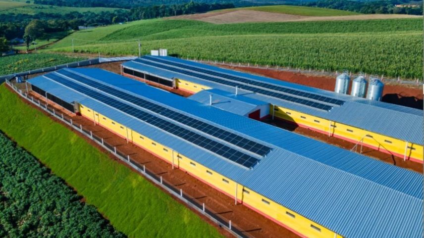 Uma das unidades da MBRF, granja de produção