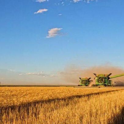 Agropecuária lidera crescimento da atividade econômica em 2025, diz BC