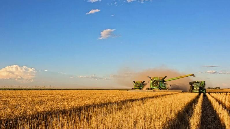 Campo faz economia andar mais robusta, com peso na formação do PIB