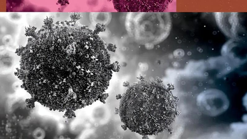 Imagem microscópica e ampliada de dois vírus HIV.