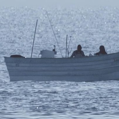 México avalia reduzir áreas protegidas para a vaquita