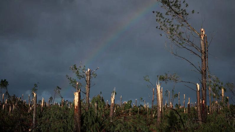Aftermath of storm Kristin in Portugal