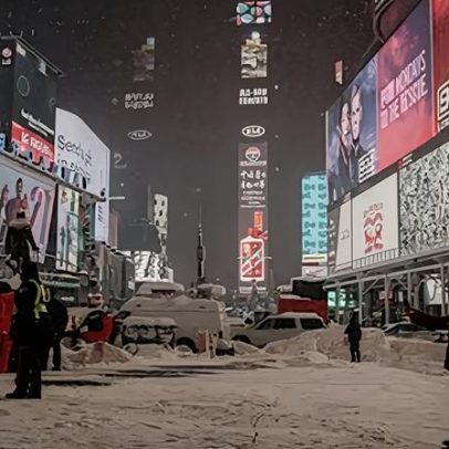 Nova York descobre efeito raticida do frio extremo