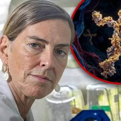 Cientista Tatiana Sampaio é homenageada