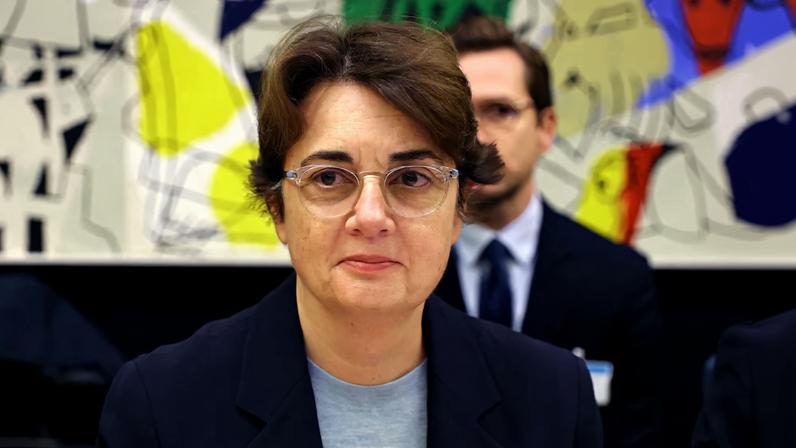 Laurence des Cars, head of the Louvre Museum, questioned by the National Assembly in Paris