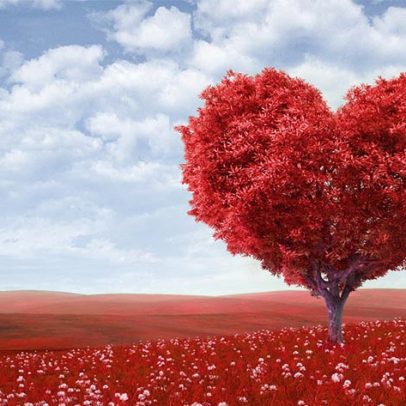Além das flores e dos chocolates: 6 fatos surpreendentes sobre o Valentine’s Day