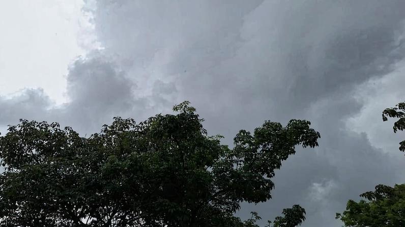 Semana começa chuvosa em São Paulo mas deve terminar com cara de verão.