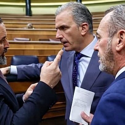 Vox expulsa Ortega por não acatar afastamento como porta-voz da Câmara de Madrid