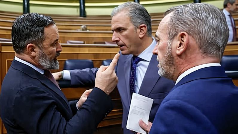 El líder de Vox Santiago Abascal (izquierda) conversa con el diputado de la misma formación Javier Ortega-Smith durante el pleno del 12 de noviembre de 2024 en el Congreso.