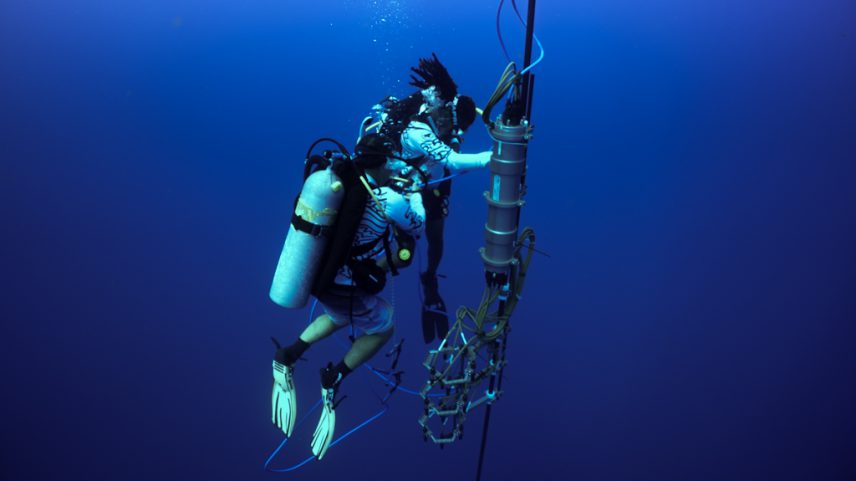 Scientists Yanive Aluma and Odel Harve check on a subaquatic whale-recording device. Image courtesy of Project CETI.