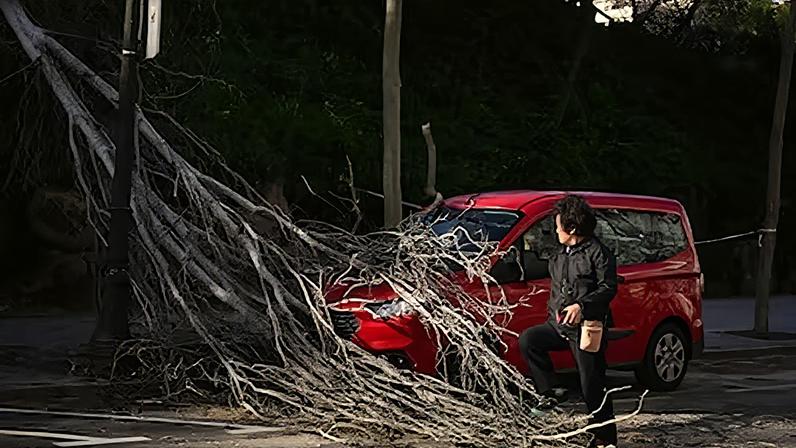 Efectos del viento en el paseo de la Exposición en el barrio de Poble Sec, de Barcelona, ayer.