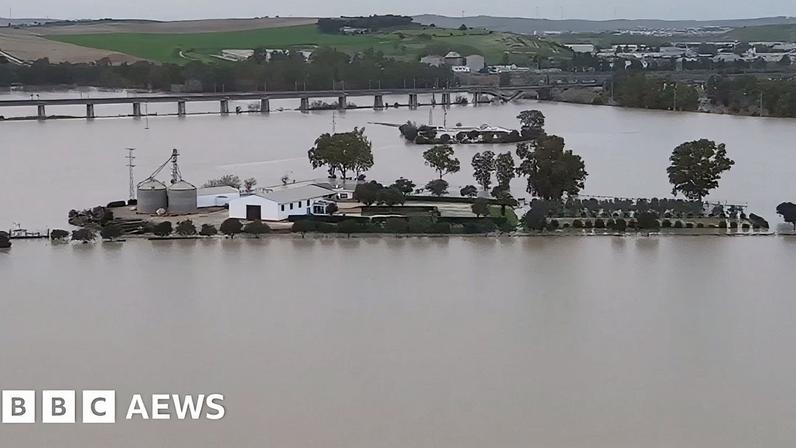 Buildings and trees in high flood water