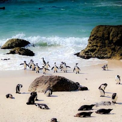 Óleo não identificado surge nas praias da África do Sul