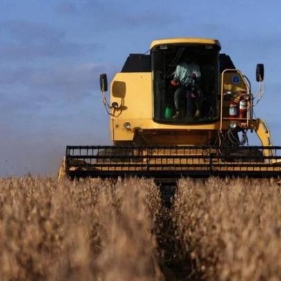 Paraná tem 14% da área de soja colhida, atraso histórico persiste