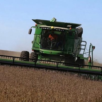 Bolsa de Buenos Aires mantém estimativa da safra de soja