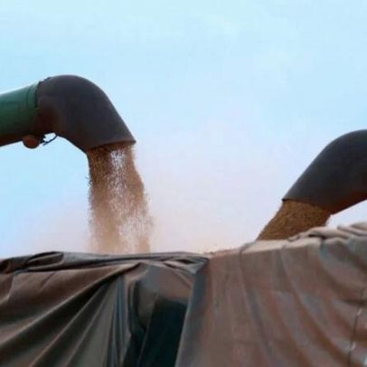 Colheita de soja no Paraná chega a 37% da área e mantém atraso