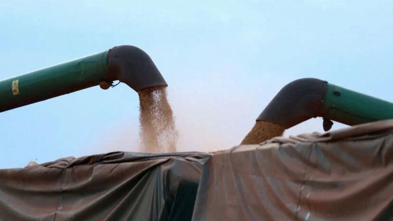 Colheita de soja em Maringá (PR)