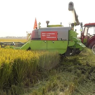 China amplia diversificação e tecnologia para segurança alimentar