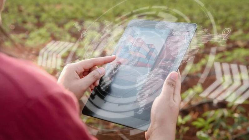 Pesquisa global da PwC faz recorte para o agro brasileiro