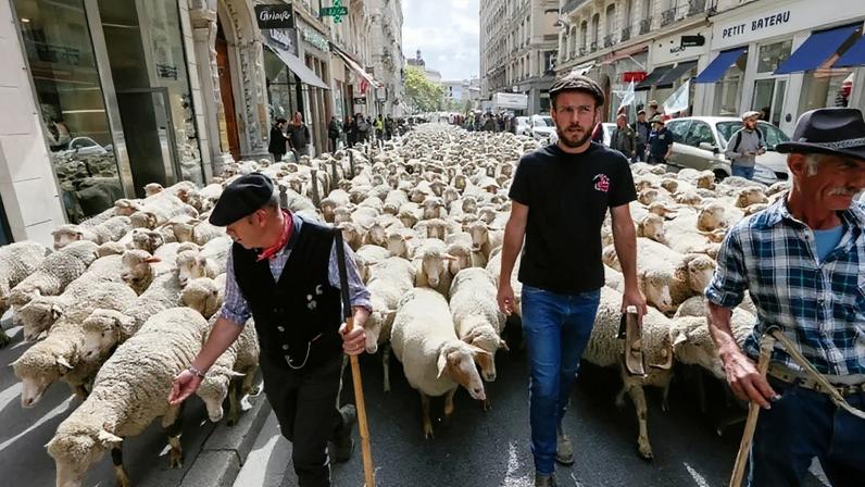 Protesto de agricultores em Lyon 9/10/2017