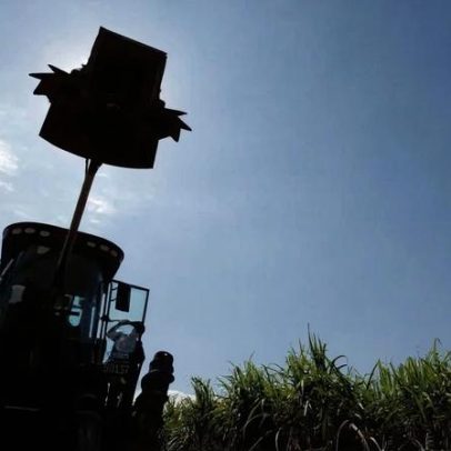 Produção de açúcar no Centro-Sul deve chegar a 40,9 milhões de t em 2026/27