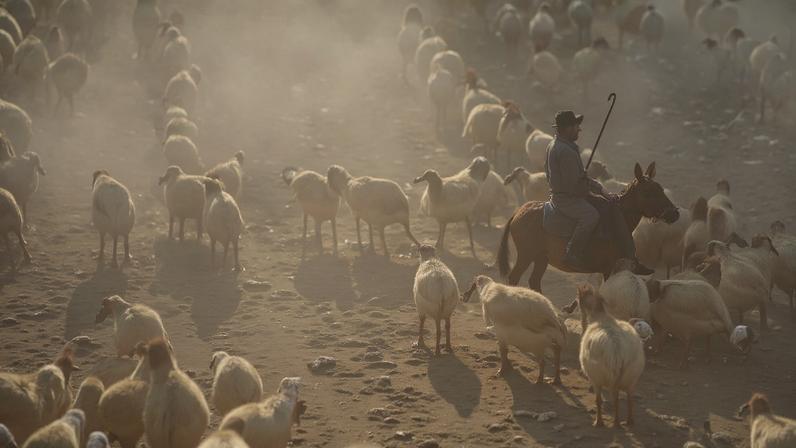 Comparação entre Davi e Saul sobre força espiritual e integridade.