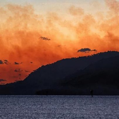 Austrália recorre a desbaste florestal após banimentos de desmatamento