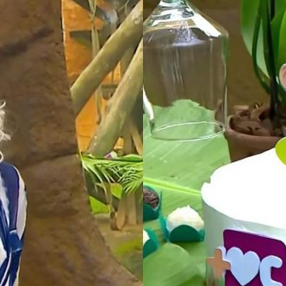 Ana Maria Braga revela sexo de chimpanzé ao vivo no Mais Você; repercussões