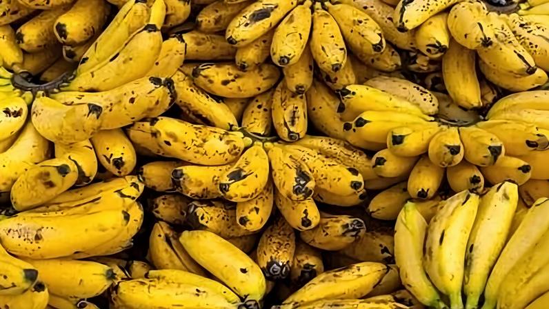 Tipos de banana: conheça 5 variedades e como usá-las em receitas doces e salgadas