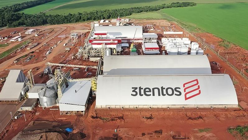 Para a 3tentos, a canola e a pecuária são a salvação da lavoura