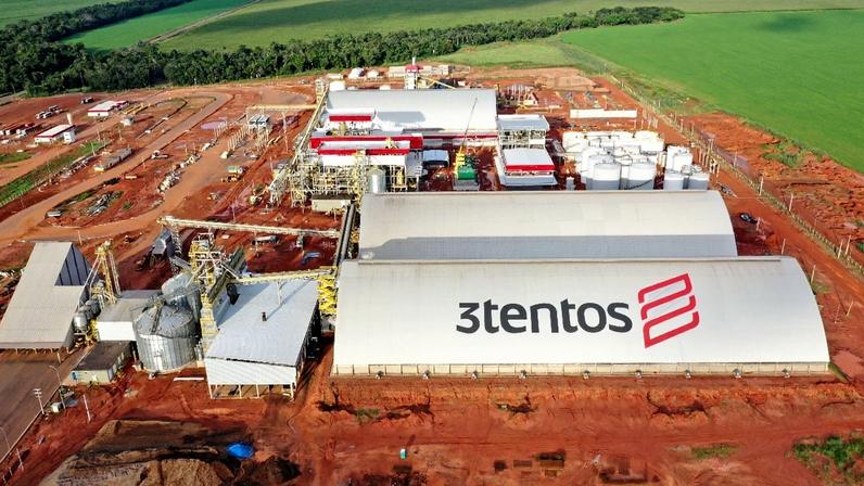 Para a 3tentos, a canola e a pecuária são a salvação da lavoura