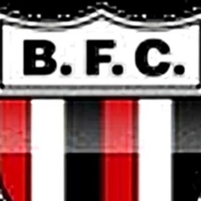 Botafogo-SP x São Bernardo ao vivo pela Série B 2026