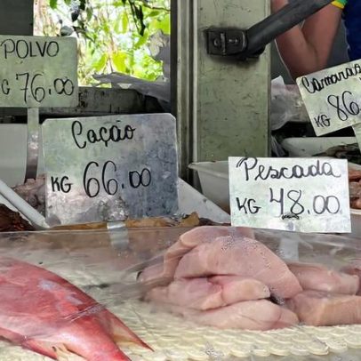Exposição da Mongabay sobre carne de tubarão vence prêmio jornalístico no Brasil