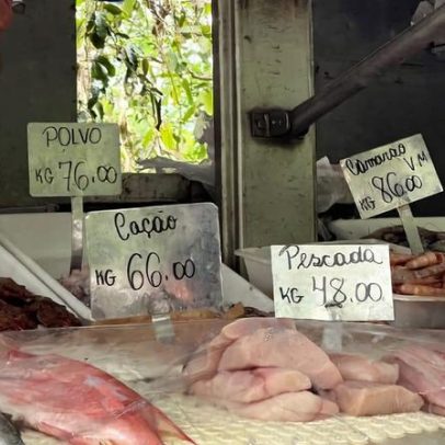 Rio de Janeiro proíbe carne de tubarão em escolas estaduais