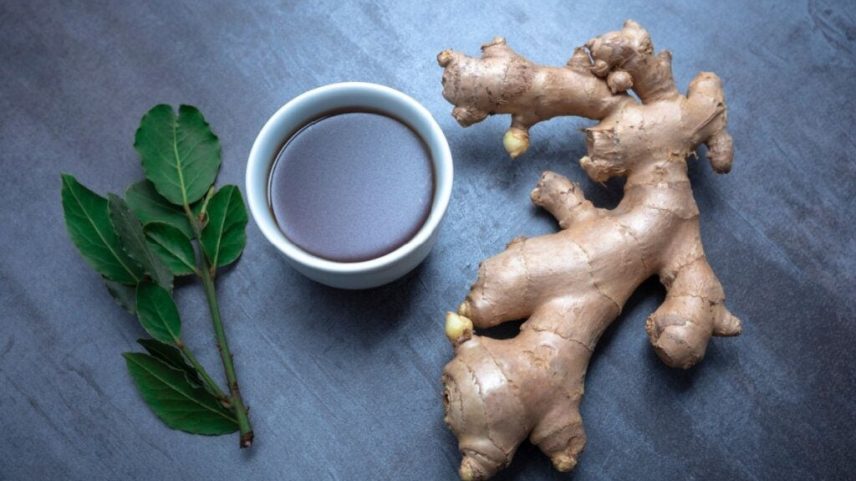 Para que serve o chá de louro? 3 receitas para incluir no dia a dia