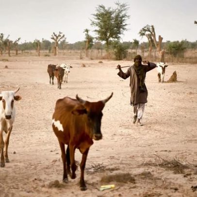 Conflitos na Nigéria expulsam cristãos convertidos