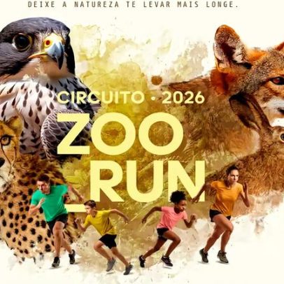 Circuito Zoo Run leva público a correr ao lado de animais em SP