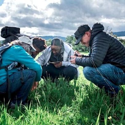 Da química à regeneração, a próxima transformação da agricultura começou