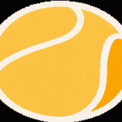Melhores jogadas do WTA 1000 de Dubai