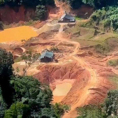 Governo lança edital para conter desmatamento na Amazônia